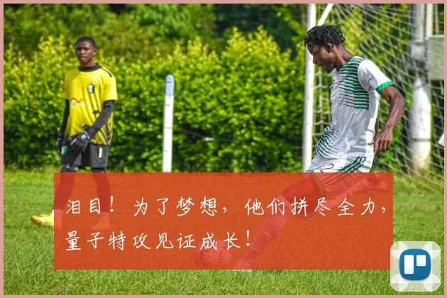 泪目！为了梦想，他们拼尽全力，量子特攻见证成长！