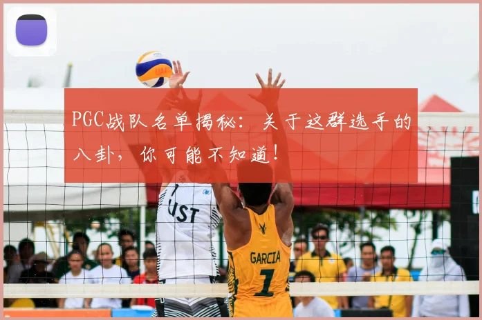 PGC战队名单揭秘:关于这群选手的八卦,你可能不知道!