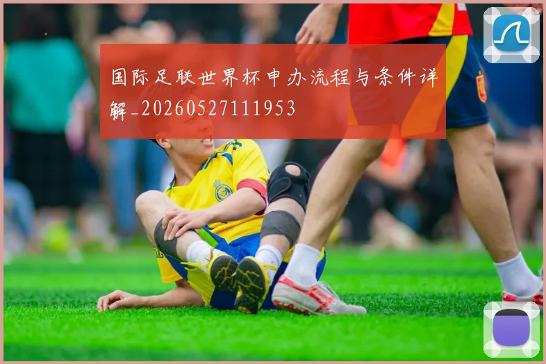 国际足联世界杯申办流程与条件详解_20260527111953