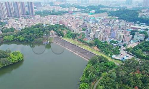 深圳平湖天气预报7天_深圳平湖天气