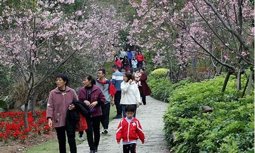 2014年三月厦门天气_2020年3月厦门天气