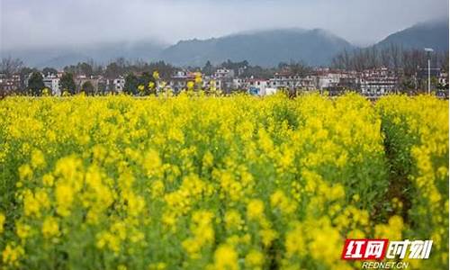 湖南永州蓝山天气预报_湖南永州蓝山天气预报7天查询