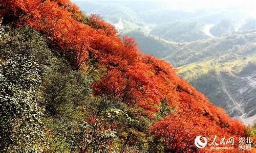 十堰郧县天气_十堰郧县天气预报一周 7天