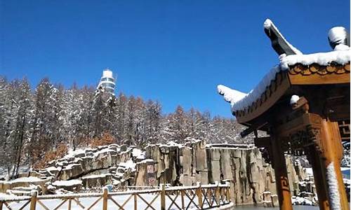 宝泉岭天气预报_宝泉岭天气预报十五天