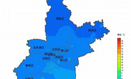 新洲天气预报30天_新洲天气预报30天查询百度百科