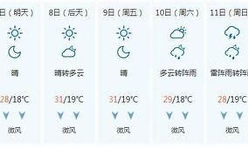 泰安天气预报30天准确 一个月_泰安天气预报30天准确