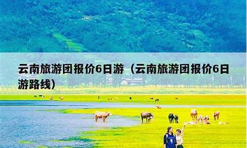 云南旅游团6日游报价是多少西双版纳_云南旅游团6日游报价是多少